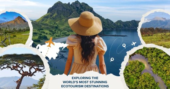 Top 10 Ecotourism Destinations Every Wildlife Lover Must See