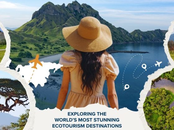 Top 10 Ecotourism Destinations Every Wildlife Lover Must See